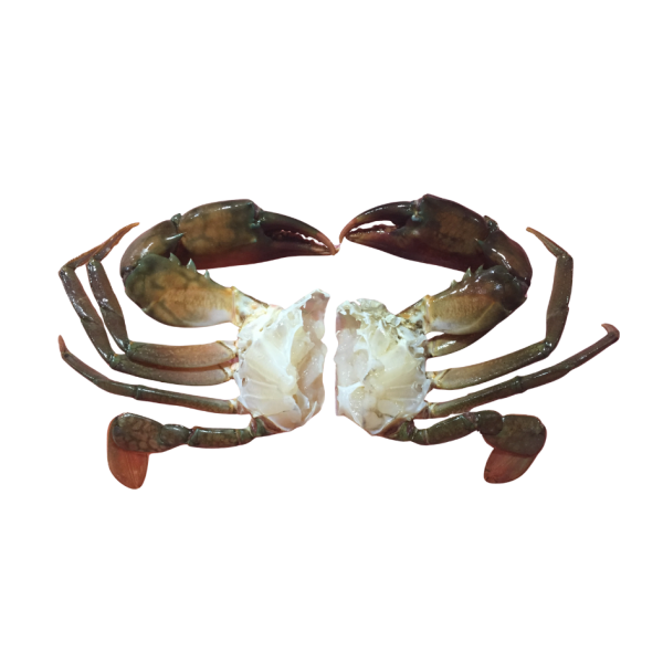Half-Cut Mud Crab - Image 1
