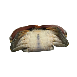 Whole Round Mud Crab